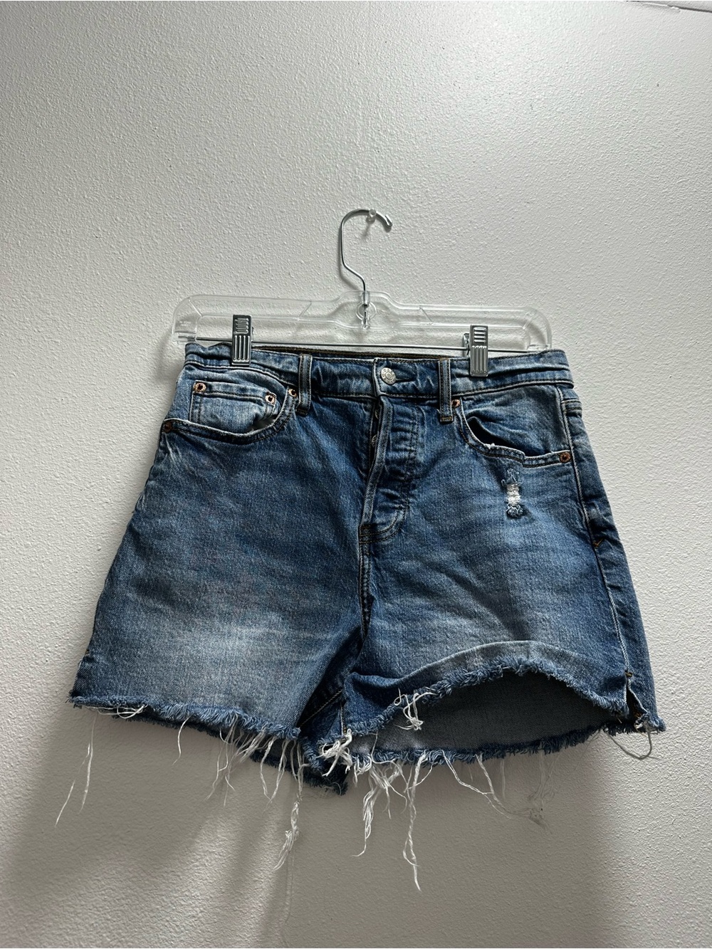 DAZE Shorts